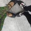 Cours de Claquettes 