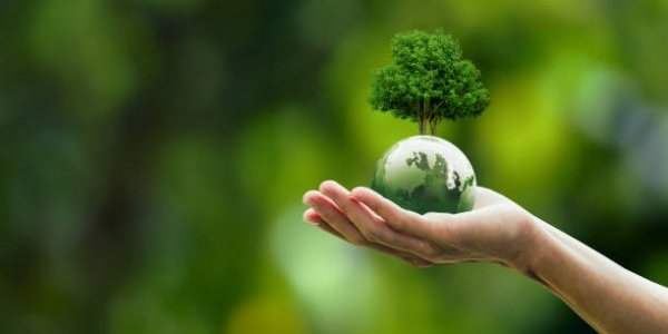 2tonnes - l'atelier immersif pour le climat