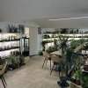 Café mensuel