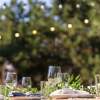 Garden Party – Soirée Wine & Cheese