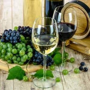 Œnologie : Atelier 3 - Les vins de Bourgogne