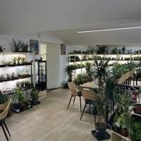 Café mensuel
